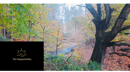 Finding Your Balance: Recharging Your Mind and Body When Life Feels Heavy