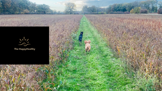 Nurturing Love and Connection in a Busy World: Why It Matters for Your Mood, Happiness, and Wellbeing